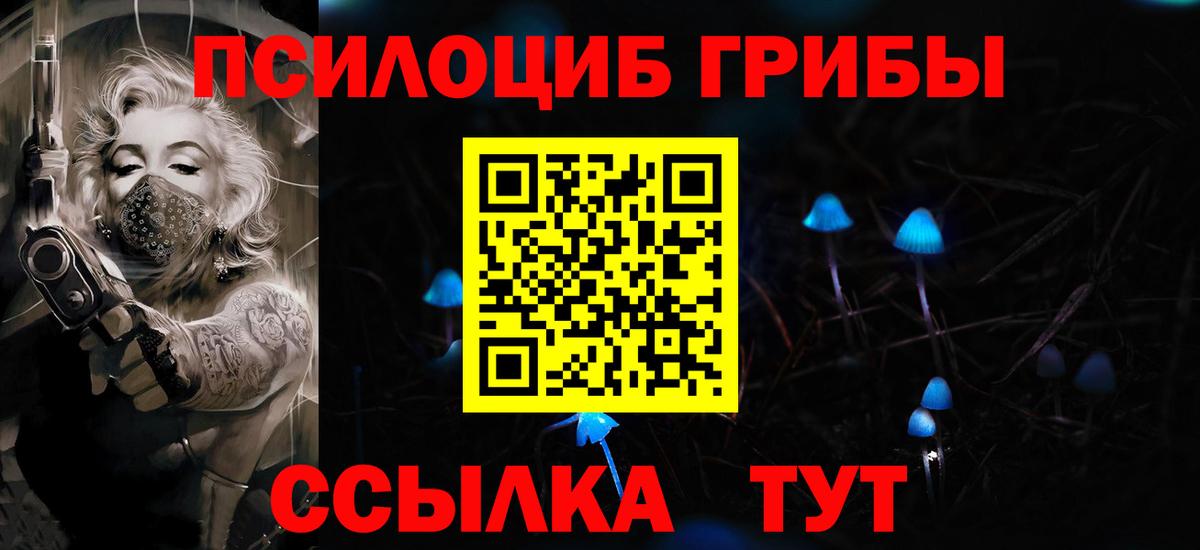 Псилоцибиновые грибы Psilocybine cubensis  Вход с VPN  Гусев  Галлюциногенные грибы Psilocybe 
